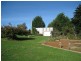 West Pine TAS 7316