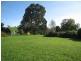 West Pine TAS 7316