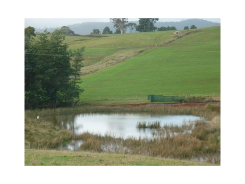 Lower Barrington TAS 7306