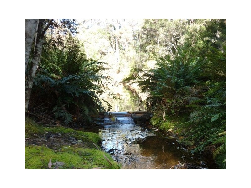 South Nietta TAS 7315