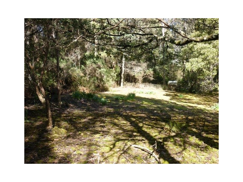 South Nietta TAS 7315