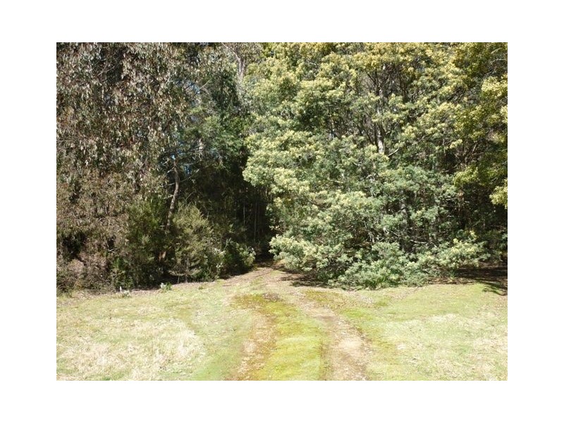 South Nietta TAS 7315