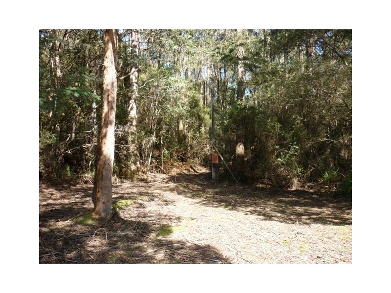 South Nietta TAS 7315