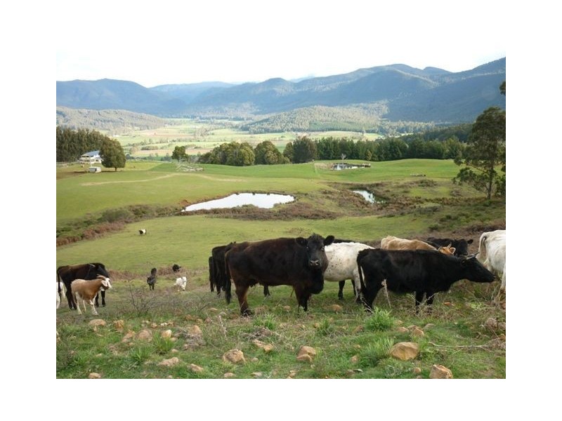 1462 South Riana Road, Gunns Plains TAS 7315