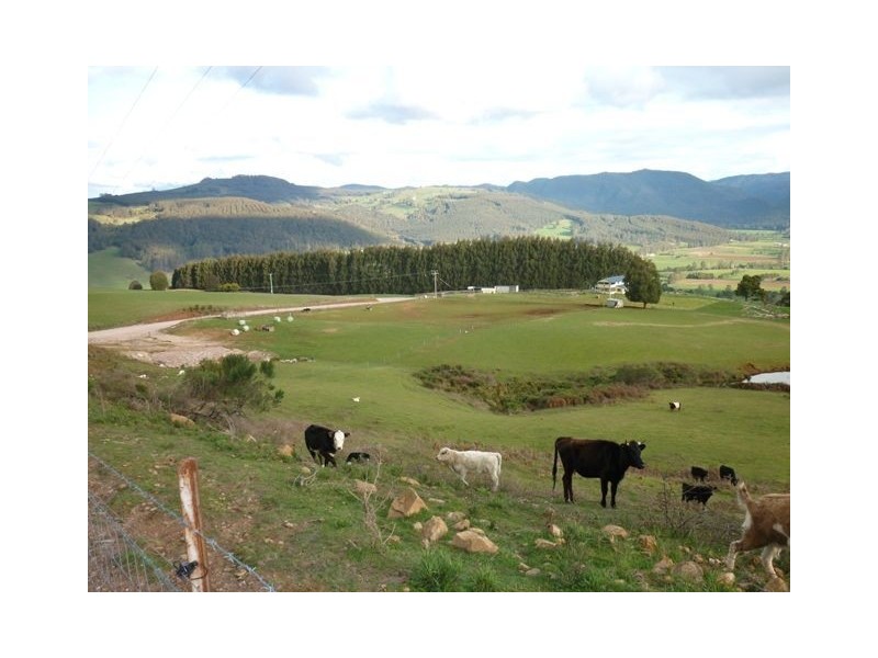 1462 South Riana Road, Gunns Plains TAS 7315