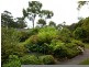 9-11 Olympic Court, Penguin TAS 7316