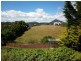 40 Ashwater Crescent, Penguin TAS 7316