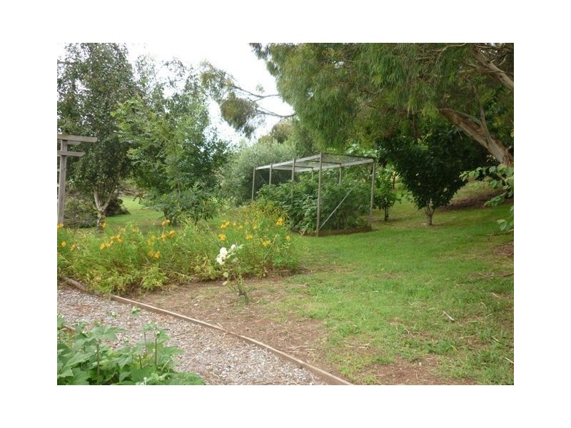 20 Davis Street, Leith TAS 7315