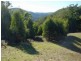 95 McPhersons Road, Gunns Plains TAS 7315