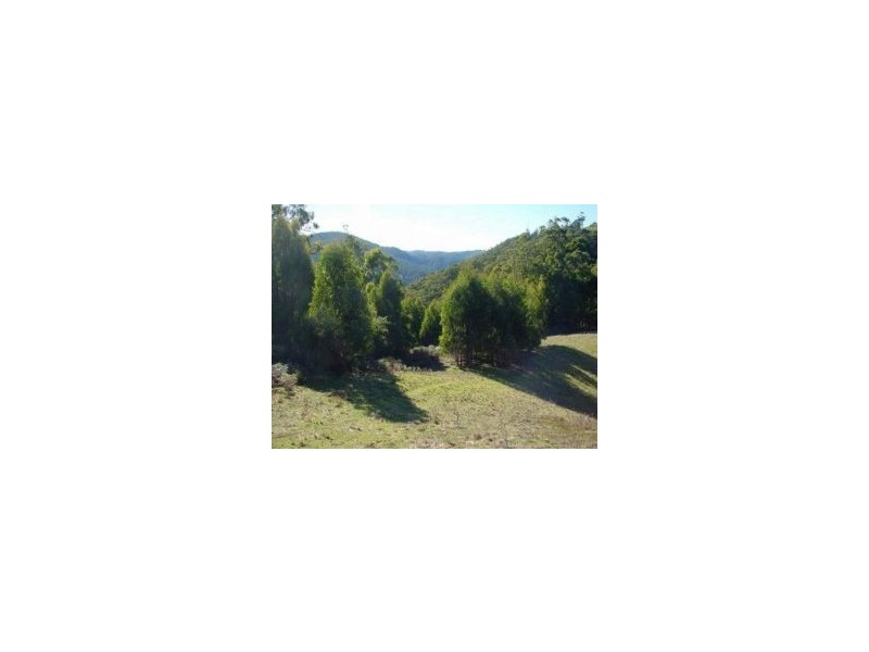95 McPhersons Road, Gunns Plains TAS 7315