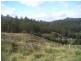 95 McPhersons Road, Gunns Plains TAS 7315