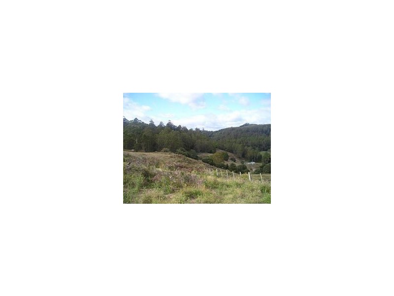 95 McPhersons Road, Gunns Plains TAS 7315