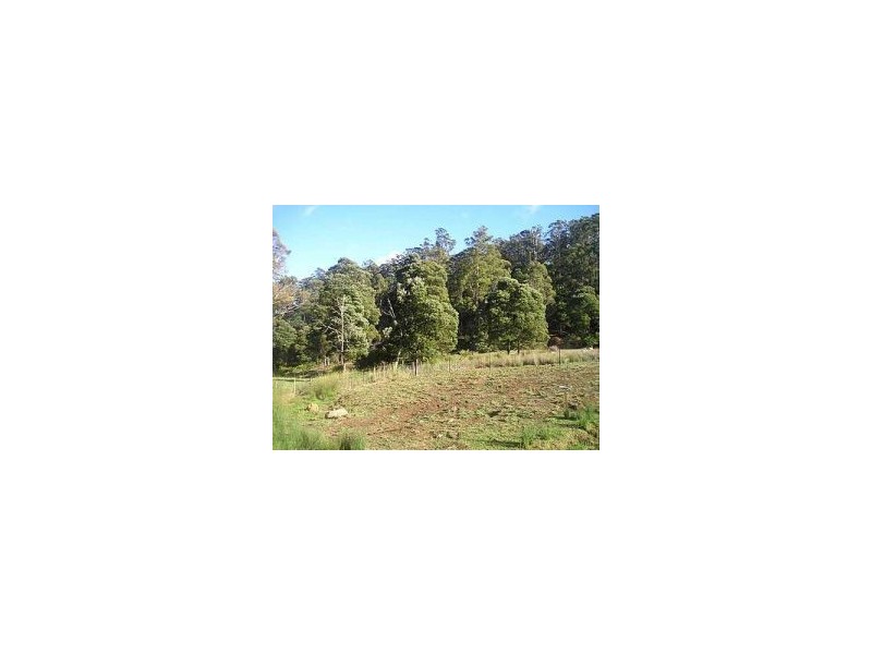 95 McPhersons Road, Gunns Plains TAS 7315