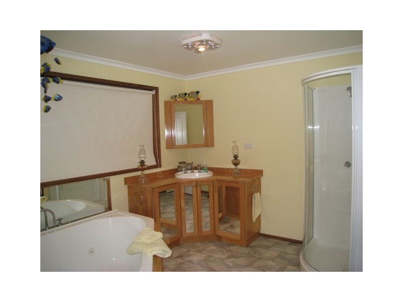 130 Whitehills Road, Penguin TAS 7316