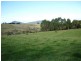 175 Zig Zag Road, Sulphur Creek TAS 7316