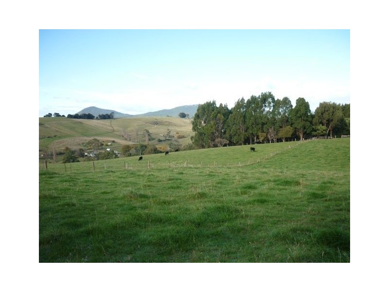 175 Zig Zag Road, Sulphur Creek TAS 7316