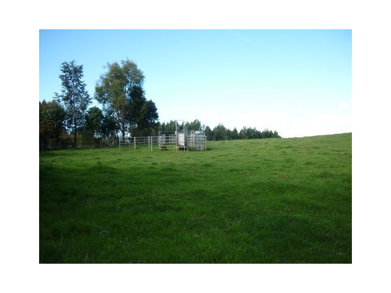 175 Zig Zag Road, Sulphur Creek TAS 7316