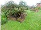 23 Eastland Drive, Ulverstone TAS 7315
