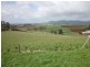 815 Cuprona Road, Cuprona TAS 7316