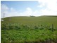 815 Cuprona Road, Cuprona TAS 7316