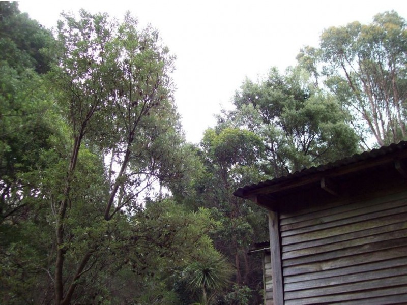 . Dial Road, Penguin TAS 7316
