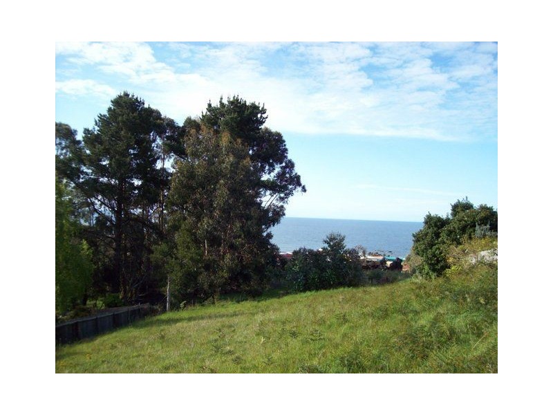 27 Quinn, Penguin TAS 7316