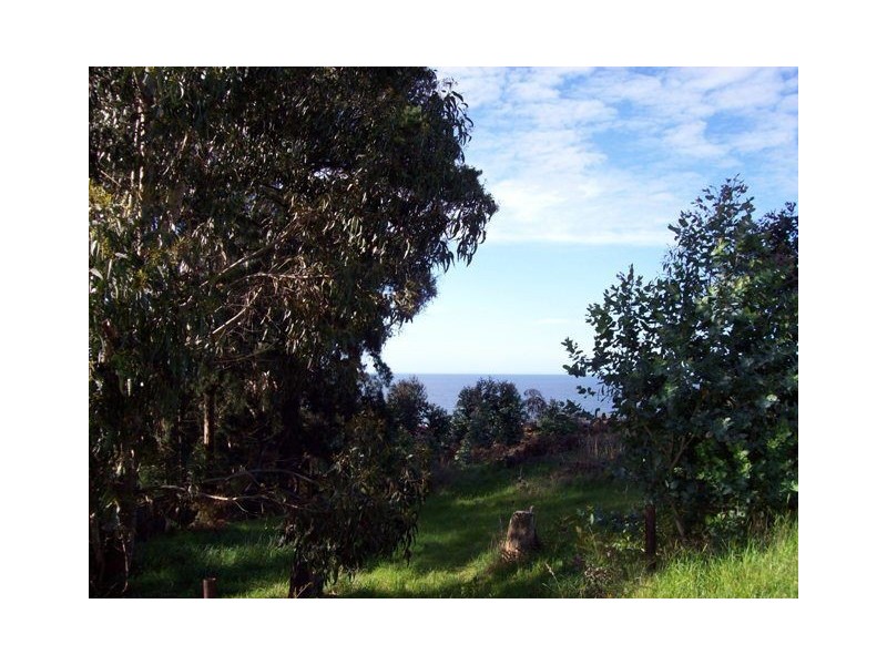 27 Quinn, Penguin TAS 7316