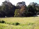 13 Evelyn Street, Penguin TAS 7316