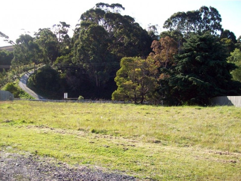 13 Evelyn Street, Penguin TAS 7316