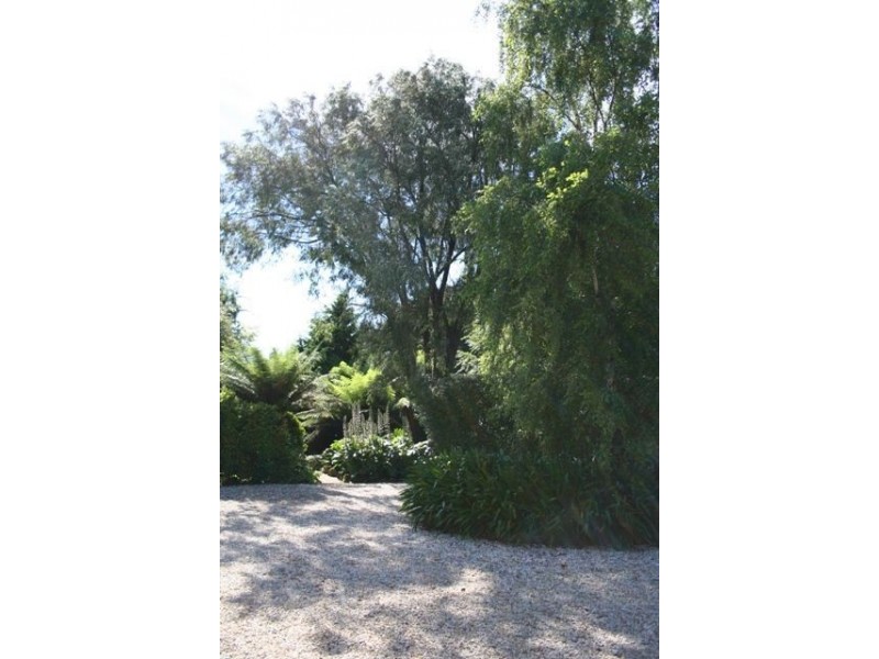 219 West Pine Road, West Pine TAS 7316