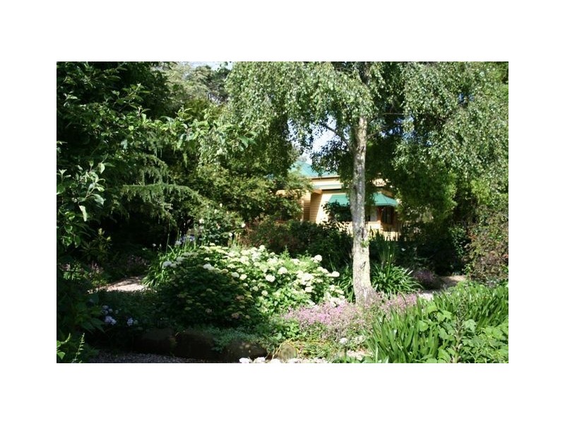 219 West Pine Road, West Pine TAS 7316