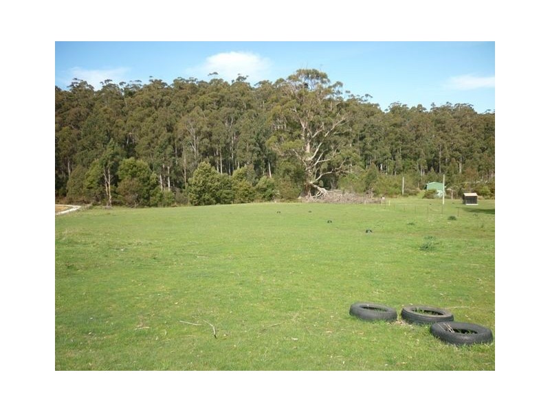 159 Whitehills Road, Penguin TAS 7316