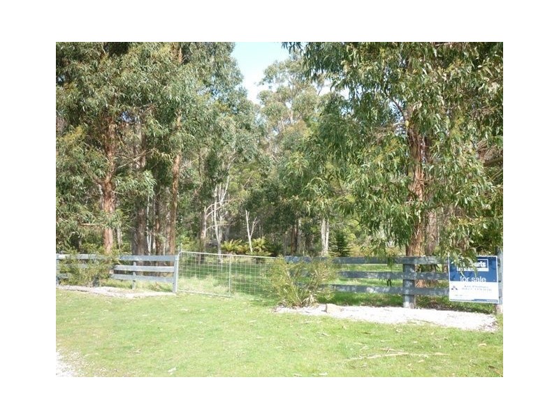 159 Whitehills Road, Penguin TAS 7316