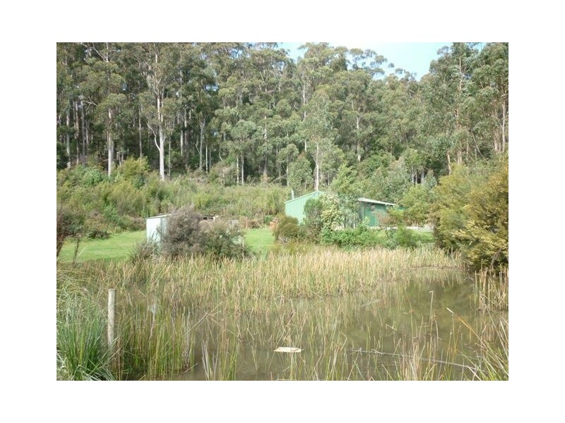 159 Whitehills Road, Penguin TAS 7316