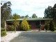 159 Whitehills Road, Penguin TAS 7316