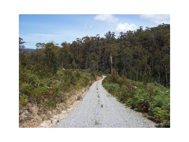 254 Wilmot Road, Forth TAS 7310