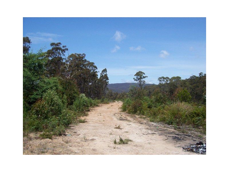 254 Wilmot Road, Forth TAS 7310