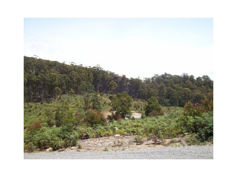 254 Wilmot Road, Forth TAS 7310