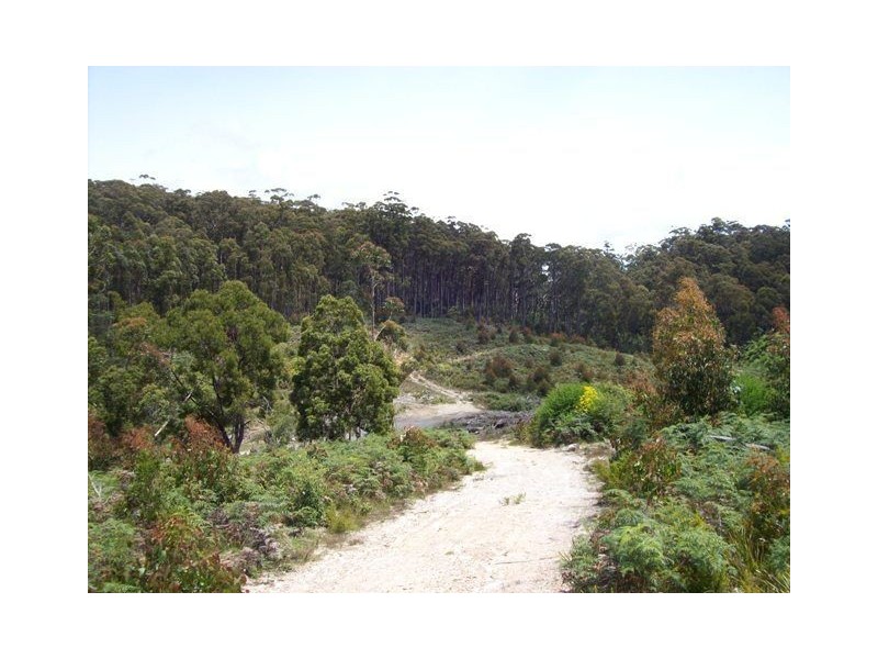 254 Wilmot Road, Forth TAS 7310