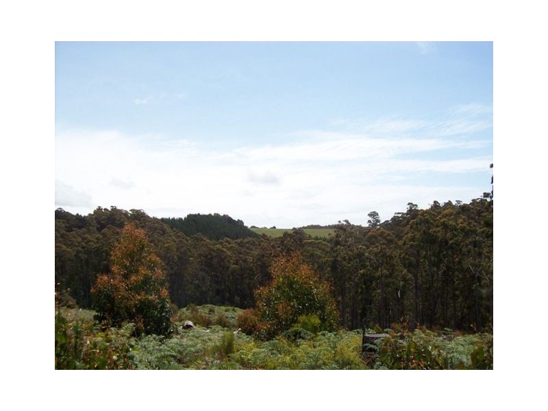 254 Wilmot Road, Forth TAS 7310
