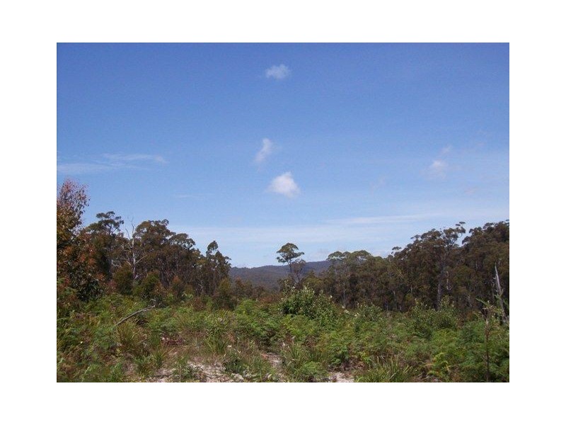 254 Wilmot Road, Forth TAS 7310