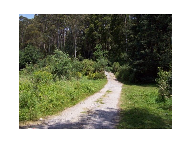 254 Wilmot Road, Forth TAS 7310