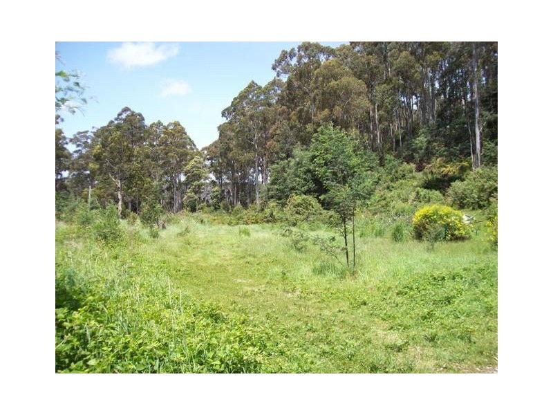 254 Wilmot Road, Forth TAS 7310