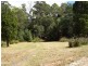 520 Harveys Road, North Motton TAS 7315