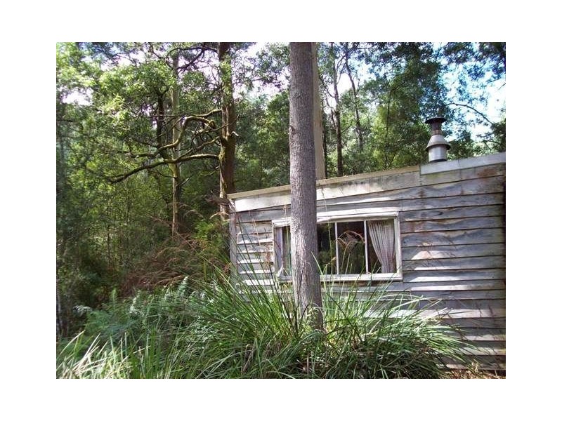 520 Harveys Road, North Motton TAS 7315