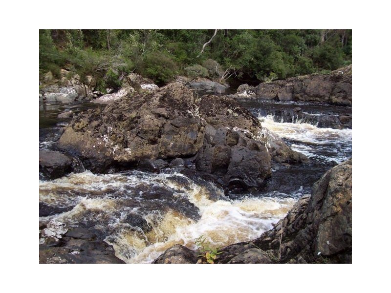 520 Harveys Road, North Motton TAS 7315