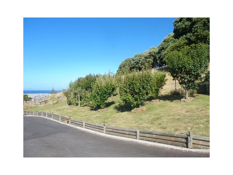 12 Kentish Street, Penguin TAS 7316