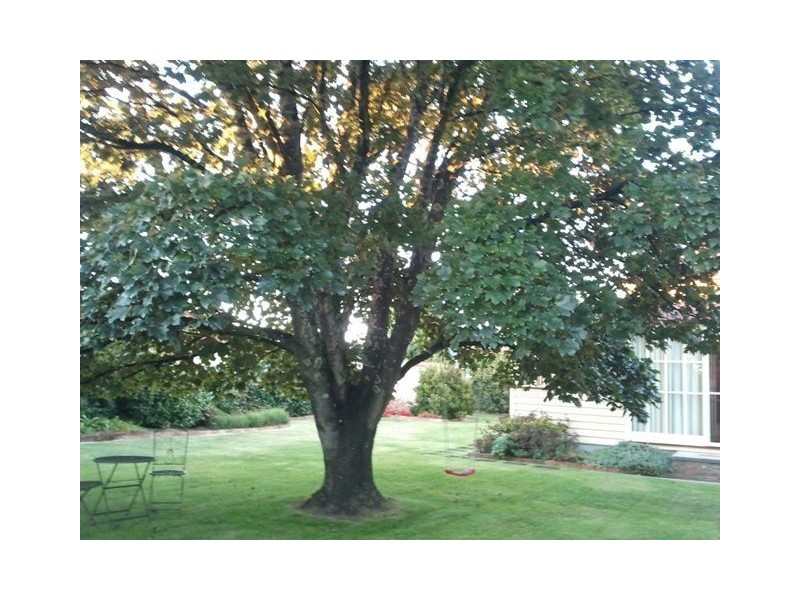 75 Mission Hill Road, Penguin TAS 7316