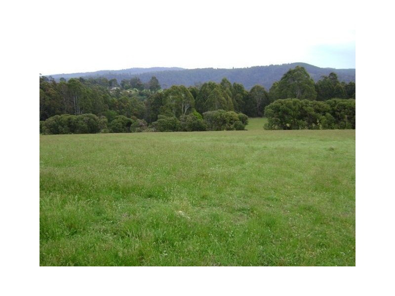 1564 Wilmot Road, Forth TAS 7310