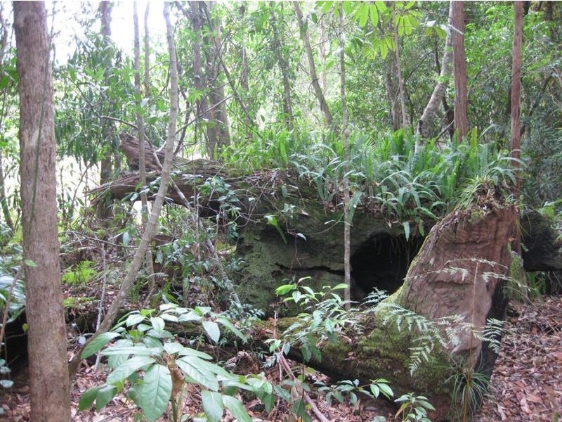 Tanawha QLD 4556